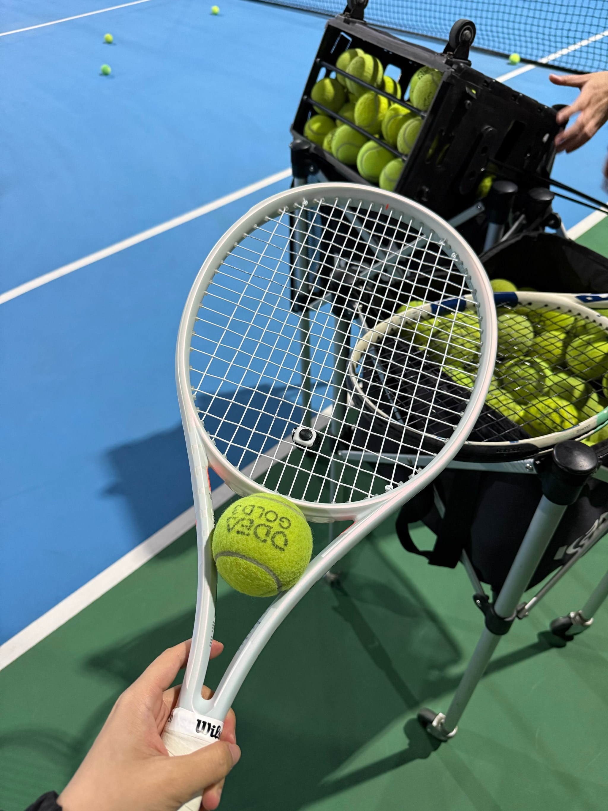 的重要组成 的重要组成