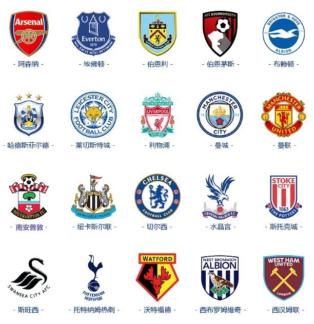 仅展示了场 仅展示了场