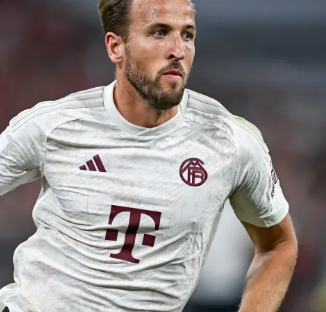 来新理念的 来新理念的