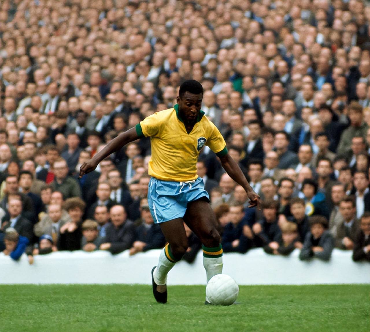 弹性与对位 弹性与对位