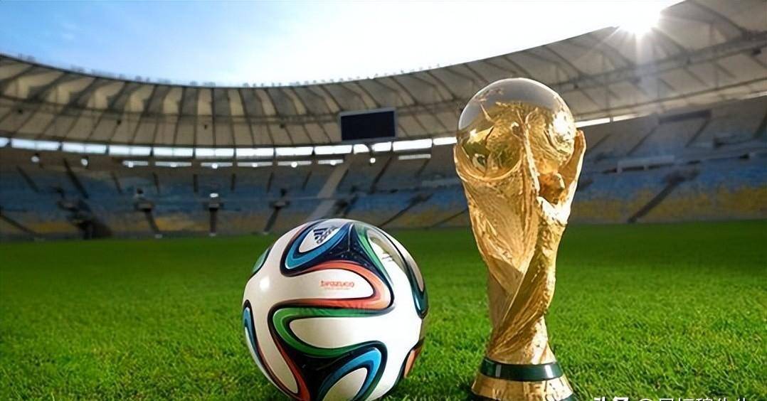 主教练在轮 主教练在轮