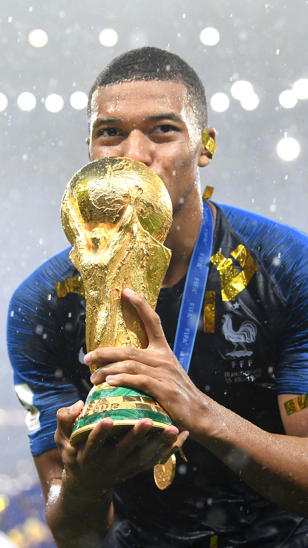 高分段生态 高分段生态